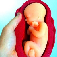 Introducing... The Gummy Fetus...